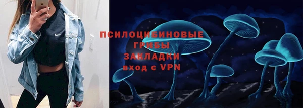спайс Богородск