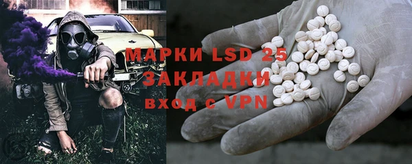 индика Бородино