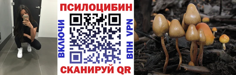 где найти наркотики  Пересвет  Псилоцибиновые грибы MAGIC MUSHROOMS 